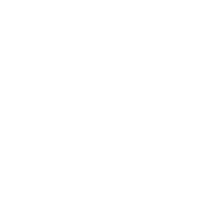 Lego Icon